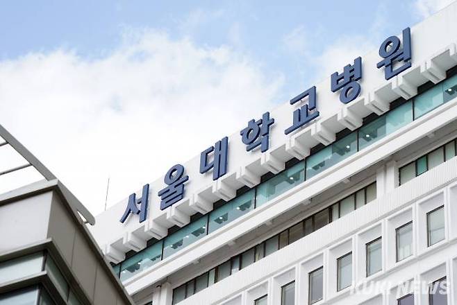 서울대 병원. 쿠키뉴스DB