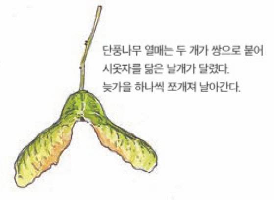 우리 주변 식물들의 비밀 이야기