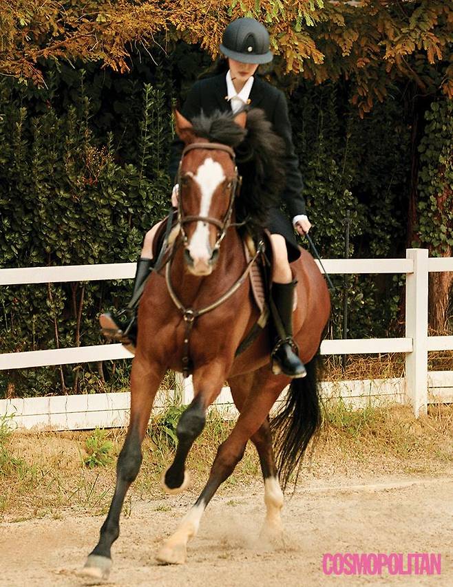 재킷 2백20만원대, 셔츠 60만원대, 버뮤다팬츠 1백80만원대, 핀 40만원대 모두 토즈. 승마 부츠 가격미정 폴로 랄프 로렌. 승마 모자, 승마 채찍 모두 가격미정 에르메스.