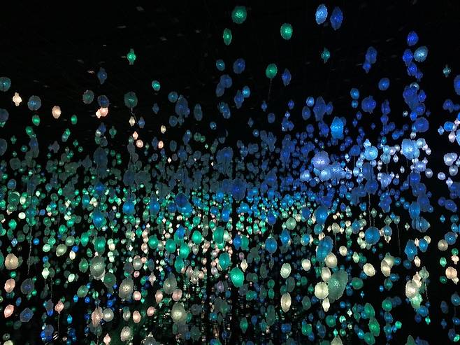 카타르 국립박물관에 있는 피필로티 리스트의 작품 (도하=연합뉴스) 김예나 기자 = 지난 23일(현지시간) 카타르 국립박물관에 피필로티 리스트의 '유어 브레인 투 미, 마이 브레인 투 유'(Your Brain to Me, My Brain to You) 작품이 설치돼 있다. 2022.10.27
yes@yna.co.kr