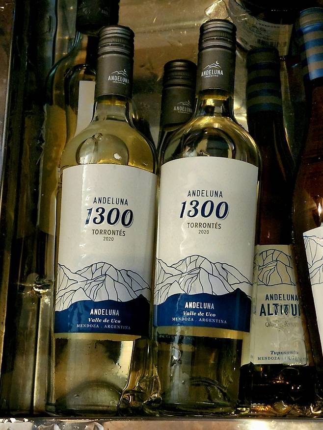 안델루나 토론테스.