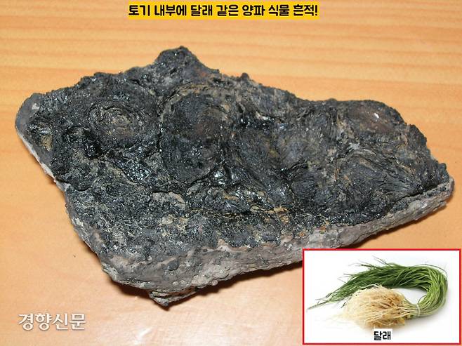 토기 내부에 붙어있는 불에탄 유기물의 흔적. 음식을 조리하고 붙은 음식찌꺼기로 보인다. 그중에는 달래와 같은 양파계 뿌리식물이 보였다.|국립김해박물관 제공