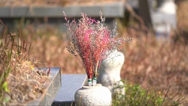 묘에 조화가 아닌 드라이플라워가 꽂혀있다. 이세영PD