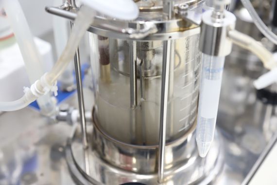 한국생명공학연구원 합성생물학연구소 이승구 박사팀이 새롭게 개량한 메탄영양세균에 메탄을 주입하면 메발론산이 만들어진다. 생명공학연구원 제공