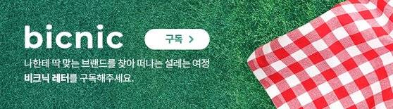 비크닉