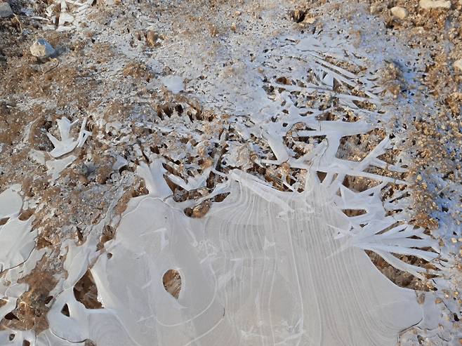 서울,오늘날씨,내일날씨©bntnews