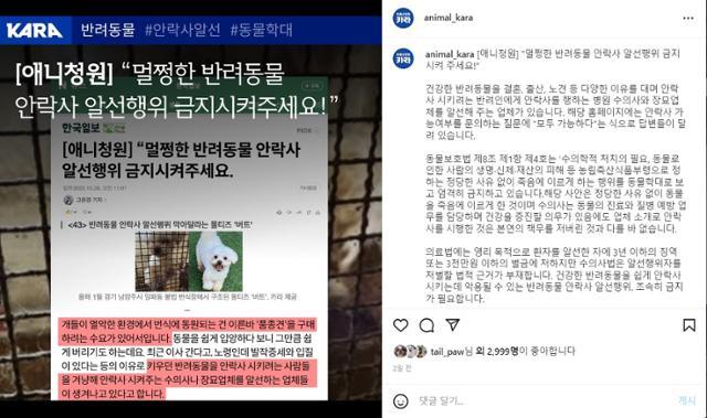 동물권행동 카라의 SNS에 올라온 한국일보 애니청원. 카라 SNS 캡처