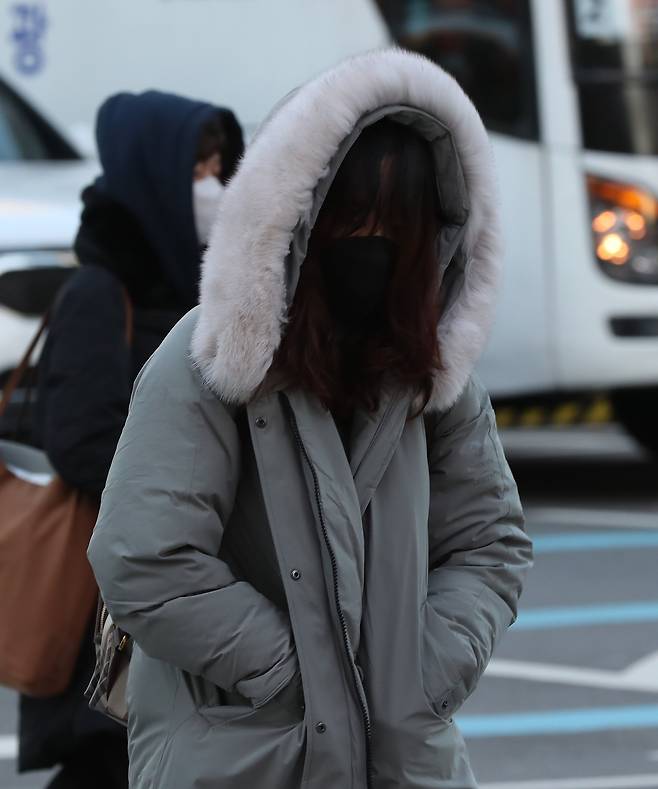 뉴시스