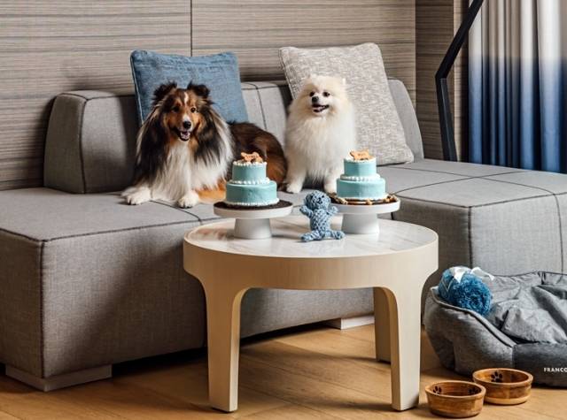 시그니엘 부산은 펫팸족의 펫캉스를 위한 ‘미 앤드 마이펫’ 패키지를 출시한 바 있다. 시그니엘