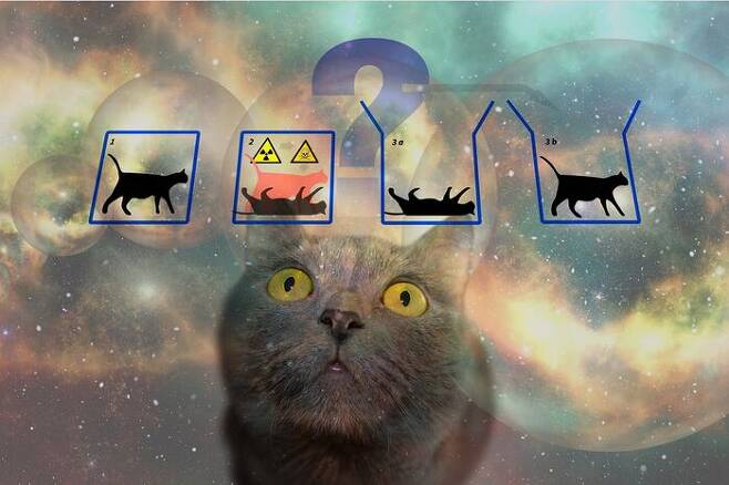 양자역학과 관련한 유명한 '슈뢰딩거의 고양이' 그래픽 이미지