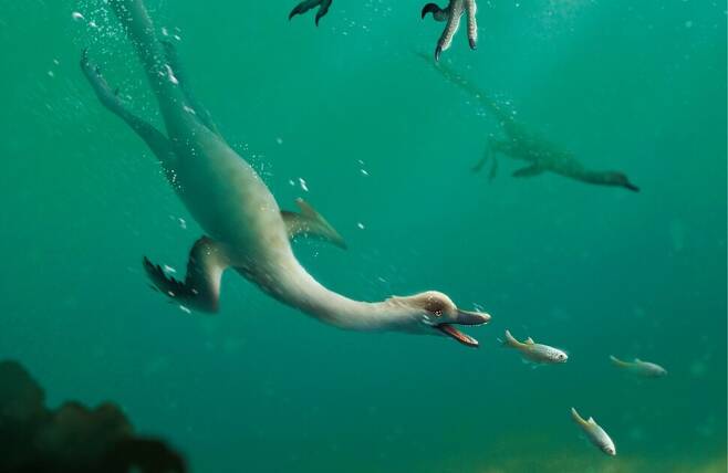 티라노사우루스나 벨로키랍토르 같은 육식동물 가운데 물속 생활에 적응한 ‘잠수 공룡’의 유력한 후보가 나왔다. 노토베나토르 폴리돈투스의 사냥 모습 복원도. 최유식 제공.