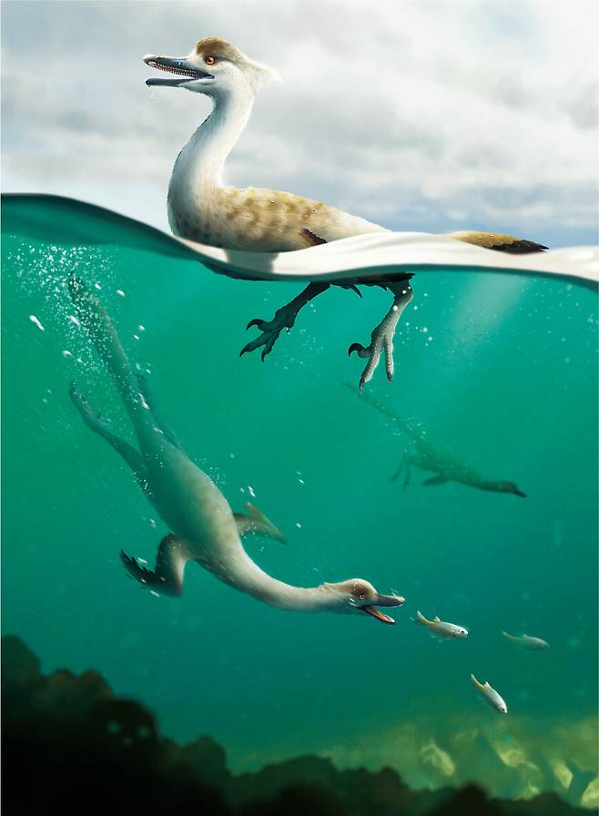 물속에서 사냥하는 노토베나토르 폴리돈투스 상상도. 수억 년 동안 지구 구석구석을 지배한 공룡이 물속으로 진출하는 것은 당연한 일이었을 것이다. 최유식 제공.
