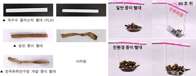 옥수수 성분의 플라스틱 빨대와 일반 종이빨대. 한국화학연구원이 개발한 종이빨대는 바닷물에서 120일 뒤 완전히 분해됐다. 친환경 종이빨대는 찬물에 1분간 담갔다 꺼낸 뒤에도 구부러지지 않았다(오른쪽 사진). 한국화학연구원 제공