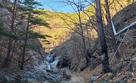 울진 덕구온천 리조트에서 원탕 가는 길. 멀리 보이는 다리를 건너야 하는데 3월 산불로 다리로 올라가는 나무 계단이 탔다. 지금은 사람이 다닐 수 없다.