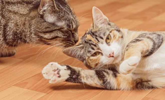 게티이미지뱅크