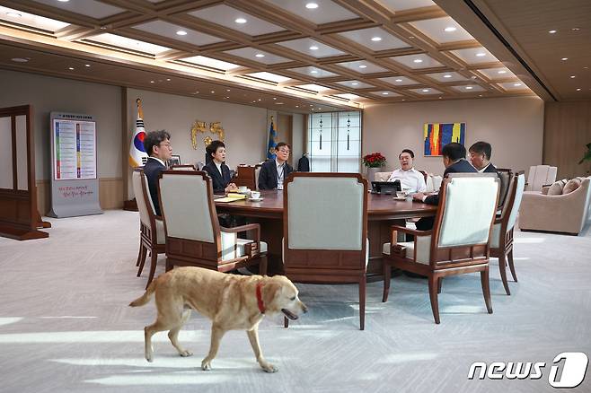윤석열 대통령이 26일 용산 대통령실 청사에서 참모들과 함께 수석비서관회의 사전 티타임을 하는 가운데 집무실 한켠에서 윤 대통령이 최근 분양받은 은퇴 안내견 '새롬이'가 걷고 있다. (대통령실 제공) 2022.12.26/뉴스1 ⓒ News1 오대일 기자