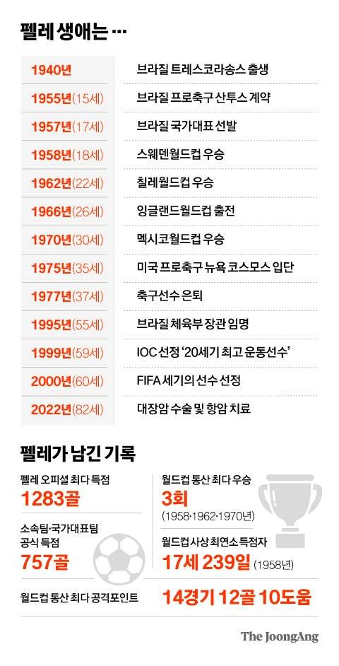 그래픽=차준홍 기자 cha.junhong@joongang.co.kr