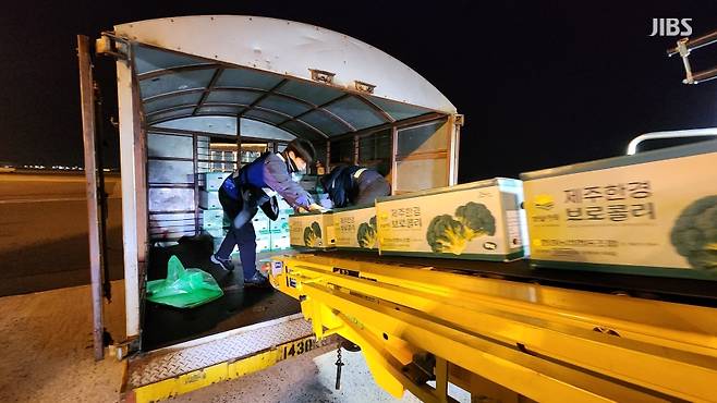 오늘(6일) 새벽 한국공항 소속 지상조업원들이 제주국제공항에서 이륙이 예정된 항공기에 화물을 적재하는 모습.