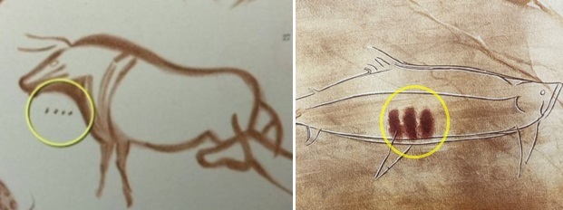 2만3000여년 전 빙하기 수렵채집인들이 남긴 동물 그림 속에 점 표식이 찍혀있는 모습. BBC 트위터, 인스타그램 캡쳐