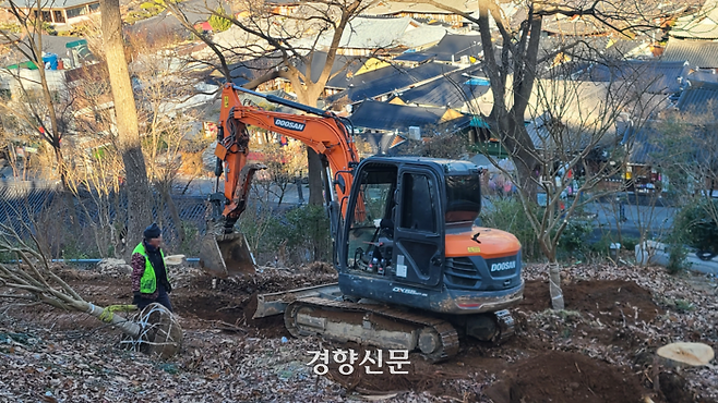 12일 전북 전주 ‘오목대 글로벌 관광환경 개선사업’ 공사 관계자들이 수십년 된 나무들이 잘려나간 경사로에 배롱나무를 심고 있다. 김창효 선임기자