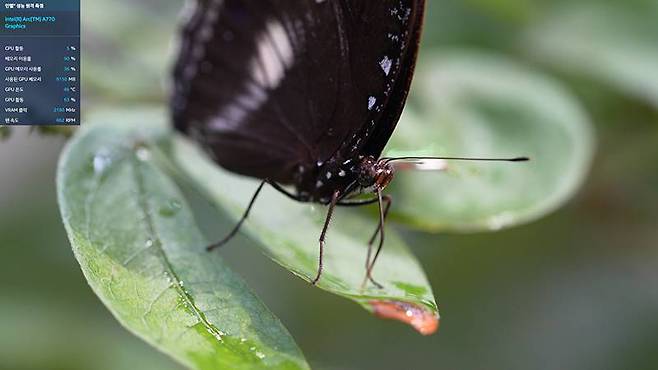 400MB 비트 전송률의 8K 24p 영상을 재생했을 때, GPU의 점유율이 40~50%정도의 무난한 수준을 유지한다. 출처=IT동아