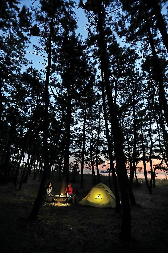 대빈창해변 소나무숲에서의 야영. 캠핑장이 있어 고즈넉이 하룻밤 보낼 수 있다.