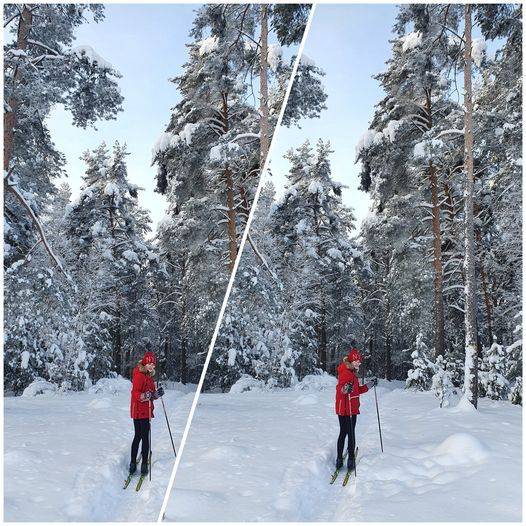 러시아의 숲이나 공원을 산책하다 보면 쉽게 마추치는 스키어들. 노르딕 스키를 타며 크로스컨트리 하는 모습을 자주 보게 된다. /정병선 기자