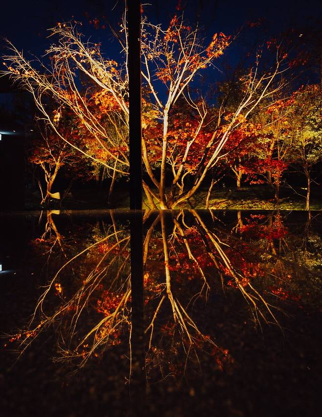 가리야 니조 캐슬 교토