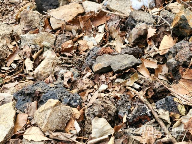 ▲ 동해시 이기동 백두대간 능선 아래 동점마을에서 발견된 쇠부리터에 선철작업을 할 때 나온 부산물인 슬러그 덩어리들이 주위에 널려 있는 모습.