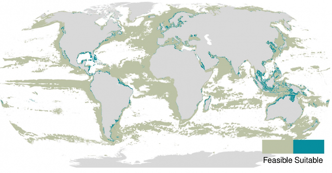 주요 해조류 34종 가운데 하나라도 자랄 수 있는 바다(feasible)와 양식이 가능한(suitable) 바다 분포를 보여주는 지도다. 양식이 가능한 면적인 약 6억5000만 헥타르 가운데 우리나라는 약 800만 헥타르로 육지 면적에 비하면 상대적으로 넓은 편이다. 네이처 지속가능성 제공