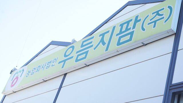 강성민 대표는 네덜란드의 프리바·호겐도른·테바렉스처럼 글로벌 스마트팜 시장을 선도하는 기업으로 우듬지팜을 만들고 싶다는 포부를 밝혔다.