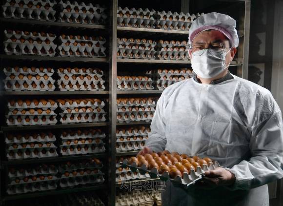 고소한 맛 전남 함평 나비 구운 대란