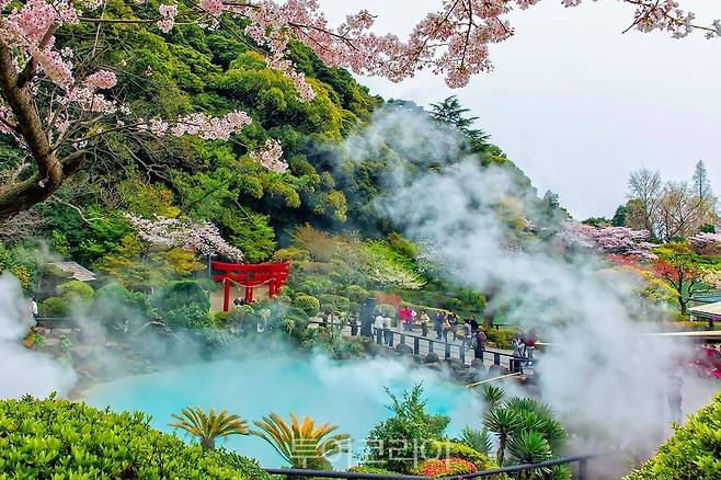 일본 벳푸의 지옥온천
