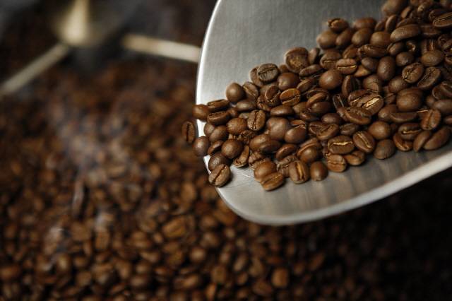 커피 원두/사진=클립아트코리아