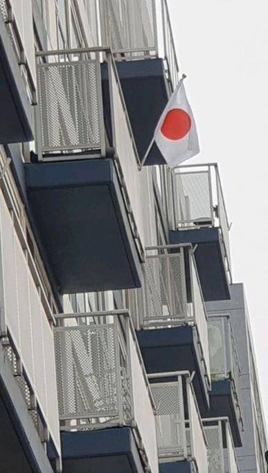 1일 오전 세종 지역 온라인 커뮤니티에 올라온 일장기 사진. 온라인커뮤니티 캡처