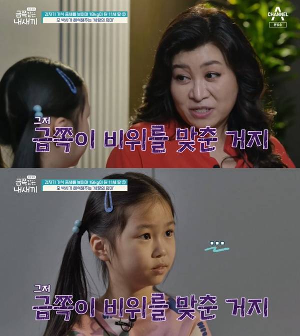 금쪽같은 내새끼 / 사진=채널A