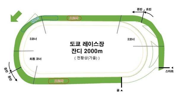 - 챔피언스 미팅 스콜피오배 마장