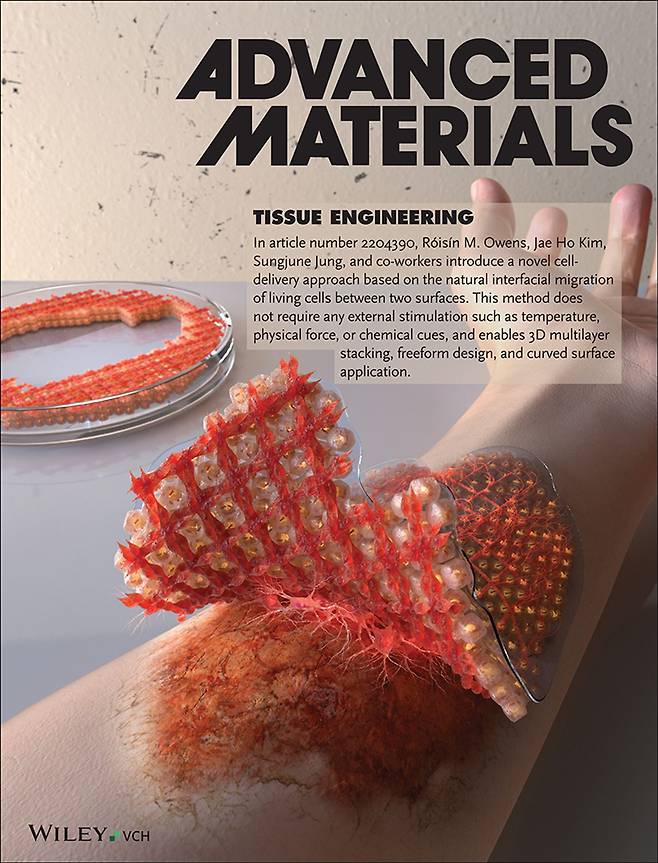 스티커 타투 처럼 피부에 붙여 상처를 재생하는 세포 스티커 연구가 실린 ‘어드밴스드 머터리얼즈(Advanced Materials)’ 표지/ 캡처