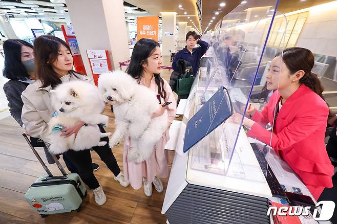 16일 오전 서울 김포공항 국내선 청사에서 탑승객이 반려견과 함께 ‘댕댕이 제주 전세기’ 탑승 수속을 하고 있다. (공동취재) 2023.3.16/뉴스1 ⓒ News1 임세영 기자