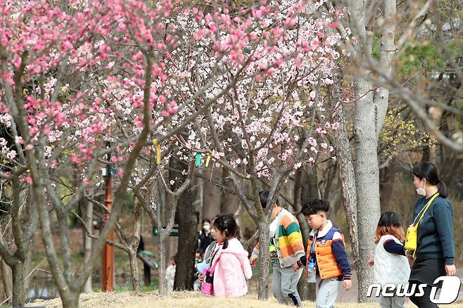 17일 오전 봄을 맞아 대구 달서구 대구수목원으로 나들이 나온 어린이들이 매화가 곱게 핀 산책로를 따라 걷고 있다. 2023.3.17/뉴스1 ⓒ News1 공정식 기자
