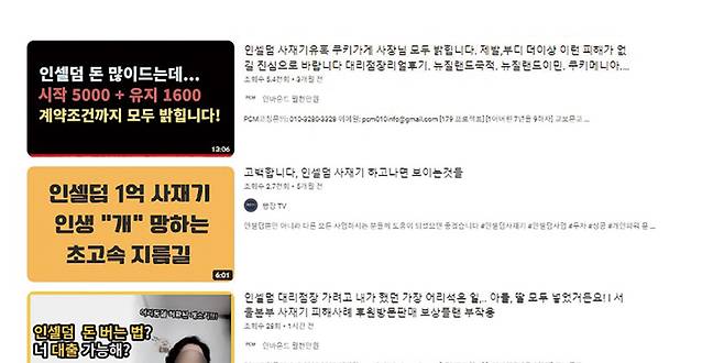 유튜브에서 리만코리아와 인셀덤을 검색하면, 각종 피해 사례를 경고하는 영상이 나온다. ⓒ유튜브 캡처