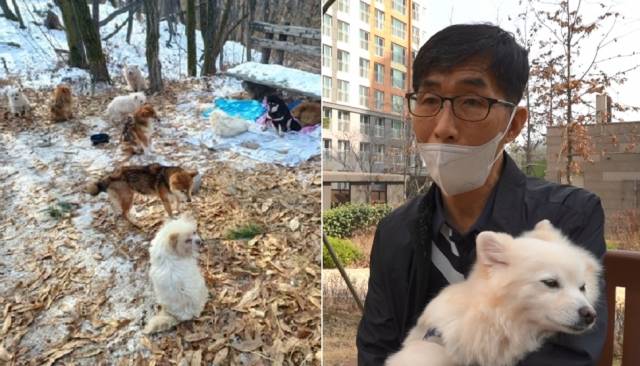 지난해 12월 서울 노원구 수락산에 품종견 19마리가 영하 17도의 한파 속에 버려진 채 발견됐다. 현장을 제보받고 출동했던 동물보호명예감시원 박희준씨가 당시 상황을 설명하고 있다. 최민석 기자