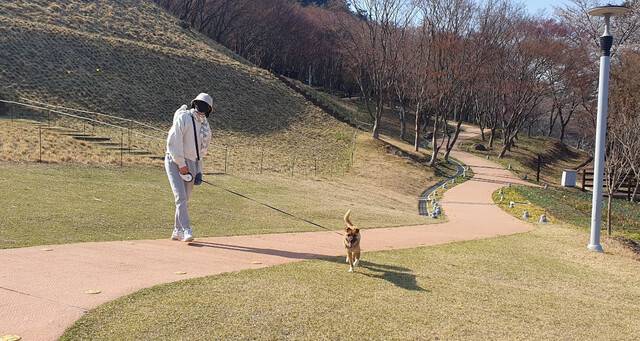 강아지와 산책하는 필자. 허은주 제공