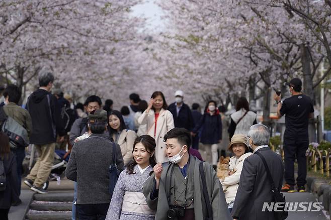 [AS/뉴시스] 2일 일본 도쿄 인근 가마쿠라의 벚꽃 상춘객