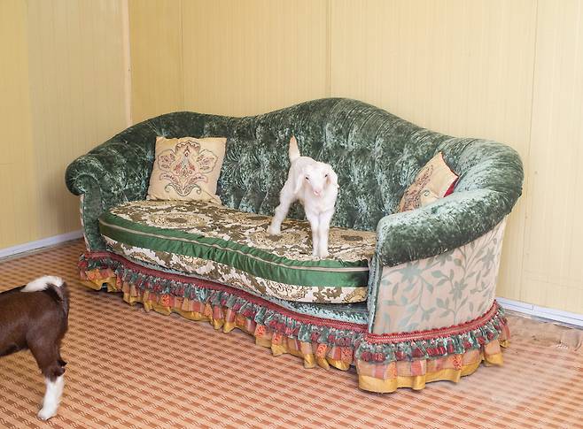 파라 알 카시미 작품. (광주비엔날레 제공)