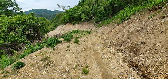 사진은 2021년 5월11일에 촬영된 것으로 B씨가 순창군의 허가를 받아 설치한 산립작업로다. 허가 기간이 2021년 5월19일까지였던 이 산림작업로는 당시의 상황만 봐도 절토 사면에 사면처리가 되지 않아많은 양의 토사가 흘러내리고 있으며 사면과 도로사이 배수로 또한 설치되지 않은 모습을 보여주고 있다. *재판매 및 DB 금지