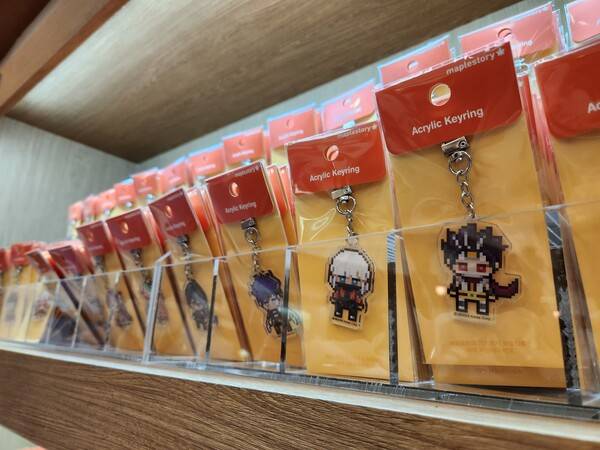 - 직업 아크릴 캐링