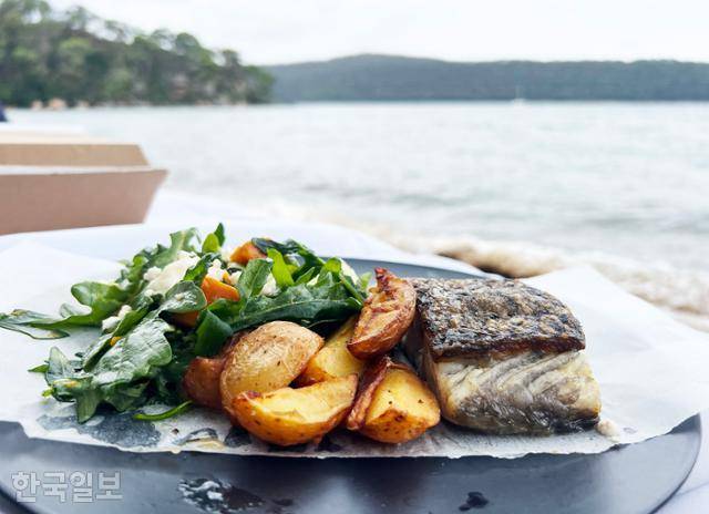 시드니 북부 무니무니 지역의 오이스터 투어 중 무인도에서 즐기는 점심 식사.