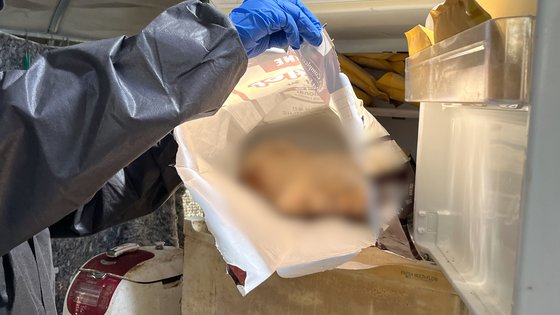 전북 진안의 불법 개 번식장 내의 냉동고에서 개 사체가 발견됐다. 남윤우 인턴