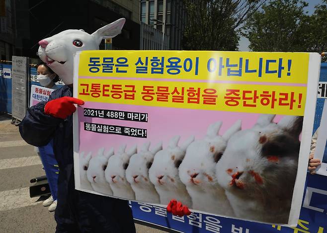 지난해 5월 서울 광화문 네거리에서 한국동물보호연합 회원들이 '고통 E 등급' 동물실험 중단"을 촉구하고 있다. 오가노이드 기술이 발전하면 동물실험을 대체할 수 있을 것으로 기대된다. /뉴스1